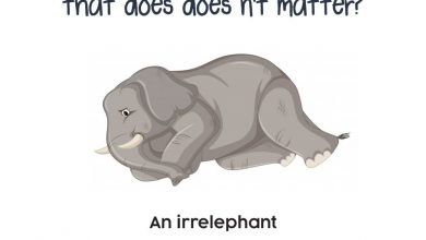 Photo of Pun Intended – So You Think You’re Smart