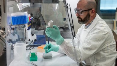 Photo of Silver Lining Behind the Traumatic COVID19 Fear