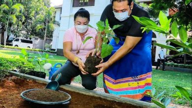 Photo of #HomeGardenChallenge Goes Viral Among Celebrities