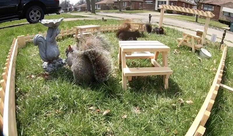squirrel restaurant