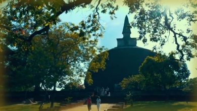 Photo of Rise Up Sri Lanka